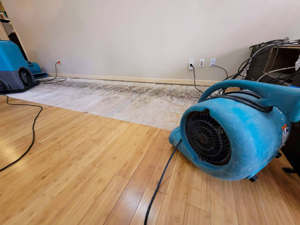 Professional Water Extraction technician working in Denham Springs, LA